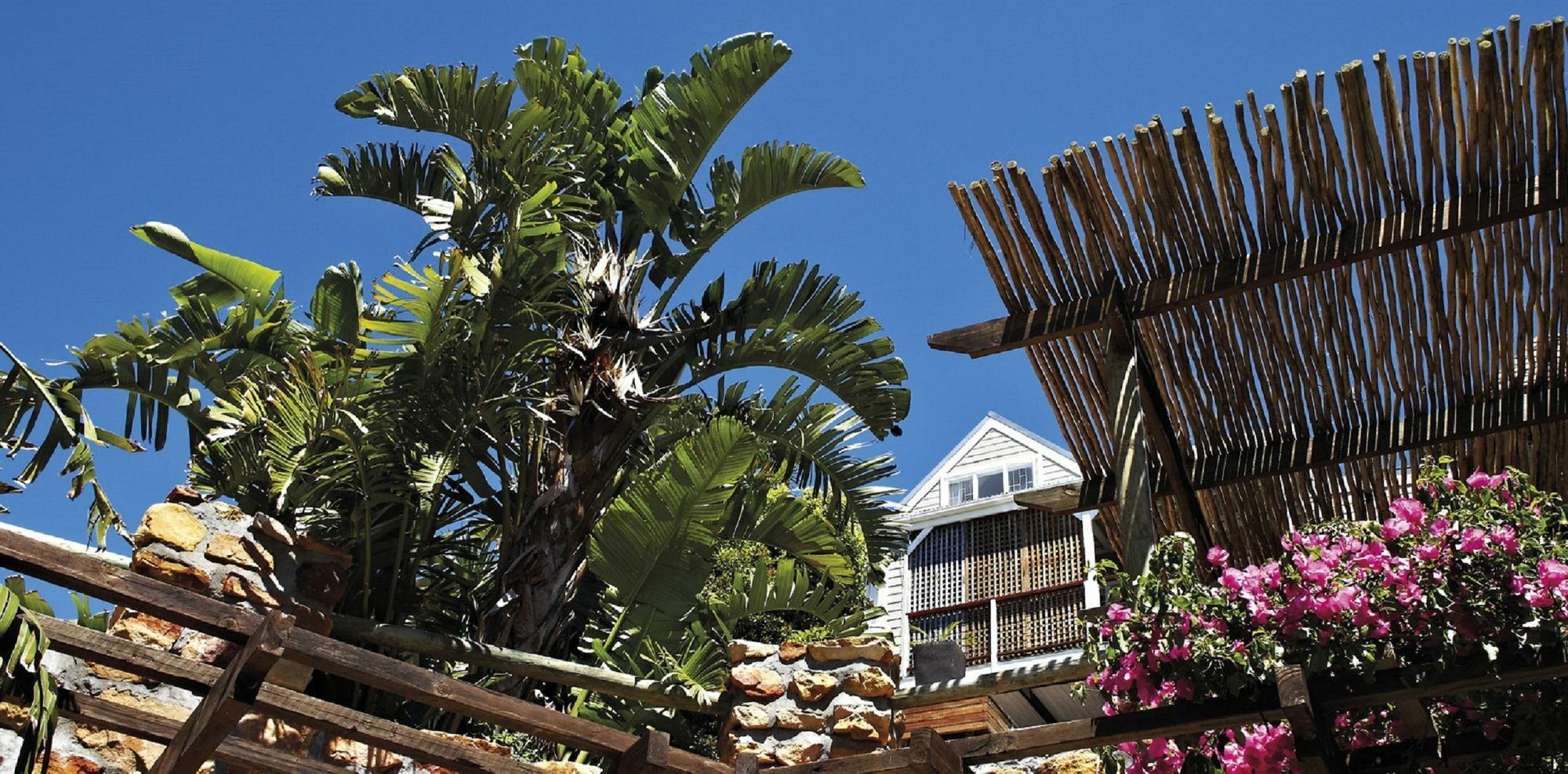African Violet Guest Suites Noordhoek Exterior foto