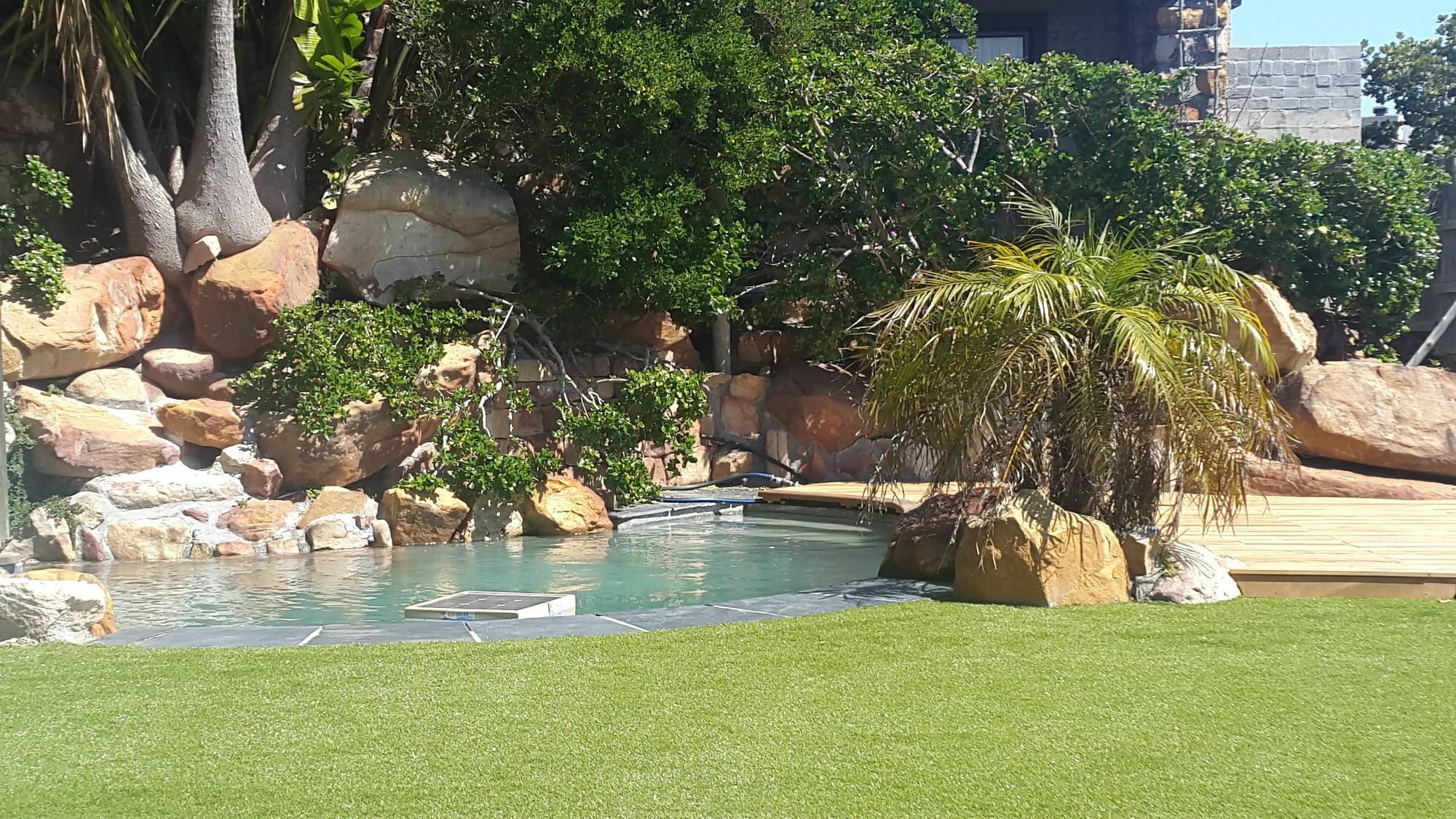 African Violet Guest Suites Noordhoek Exterior foto
